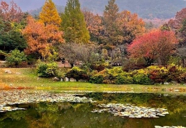 인천 우니메이카 캠핑장 강화점 소개