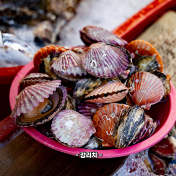 타우린 많은 음식