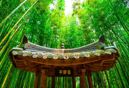 5월 여행지 추천