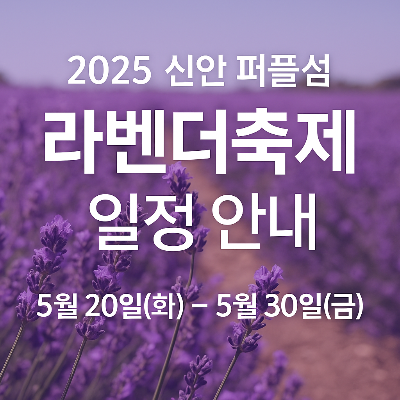 신안 퍼플섬 라벤터 축제