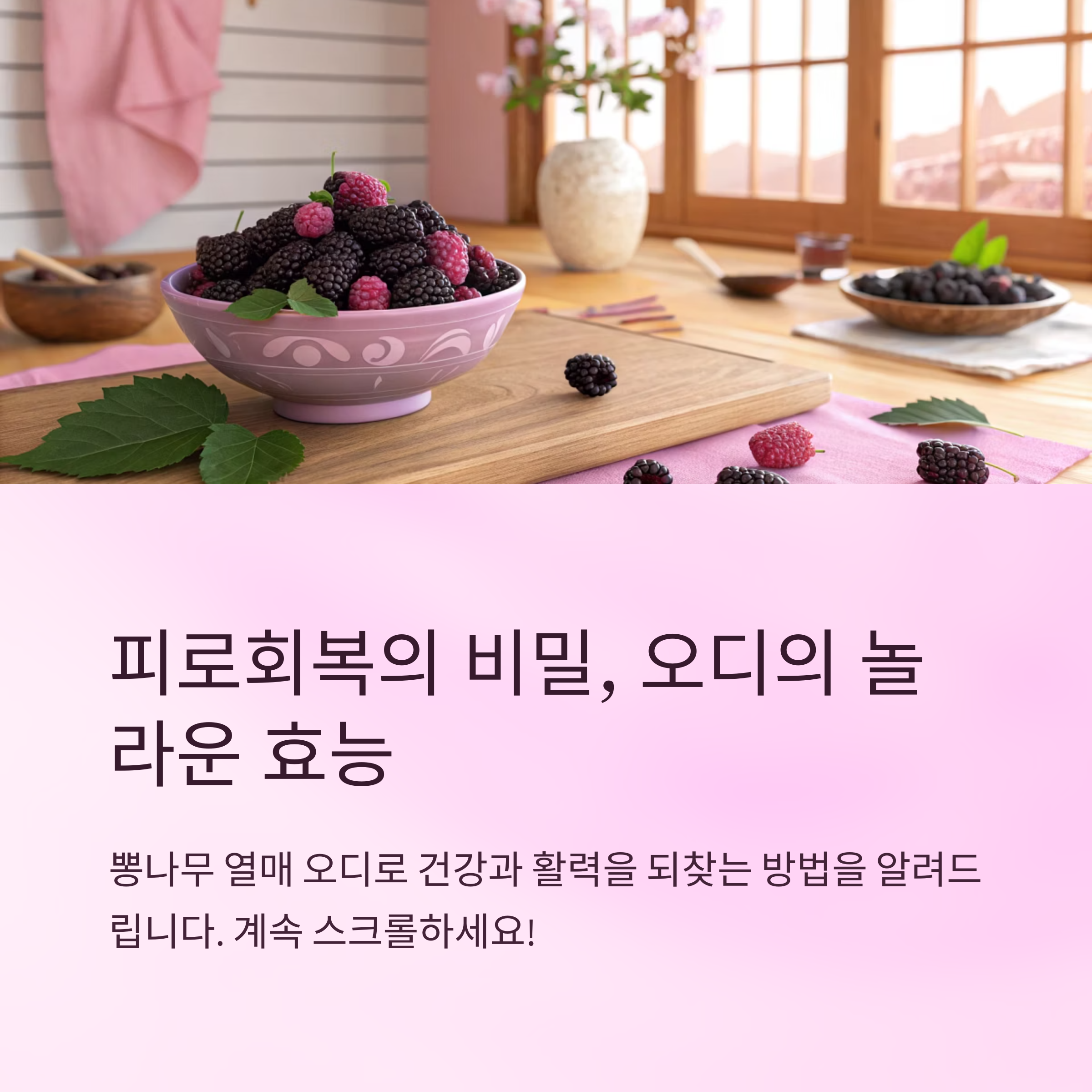 오디의효능 피로회복에 활용하는 법