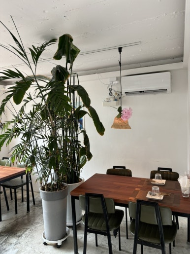 이태원 비건식당 카무플라주