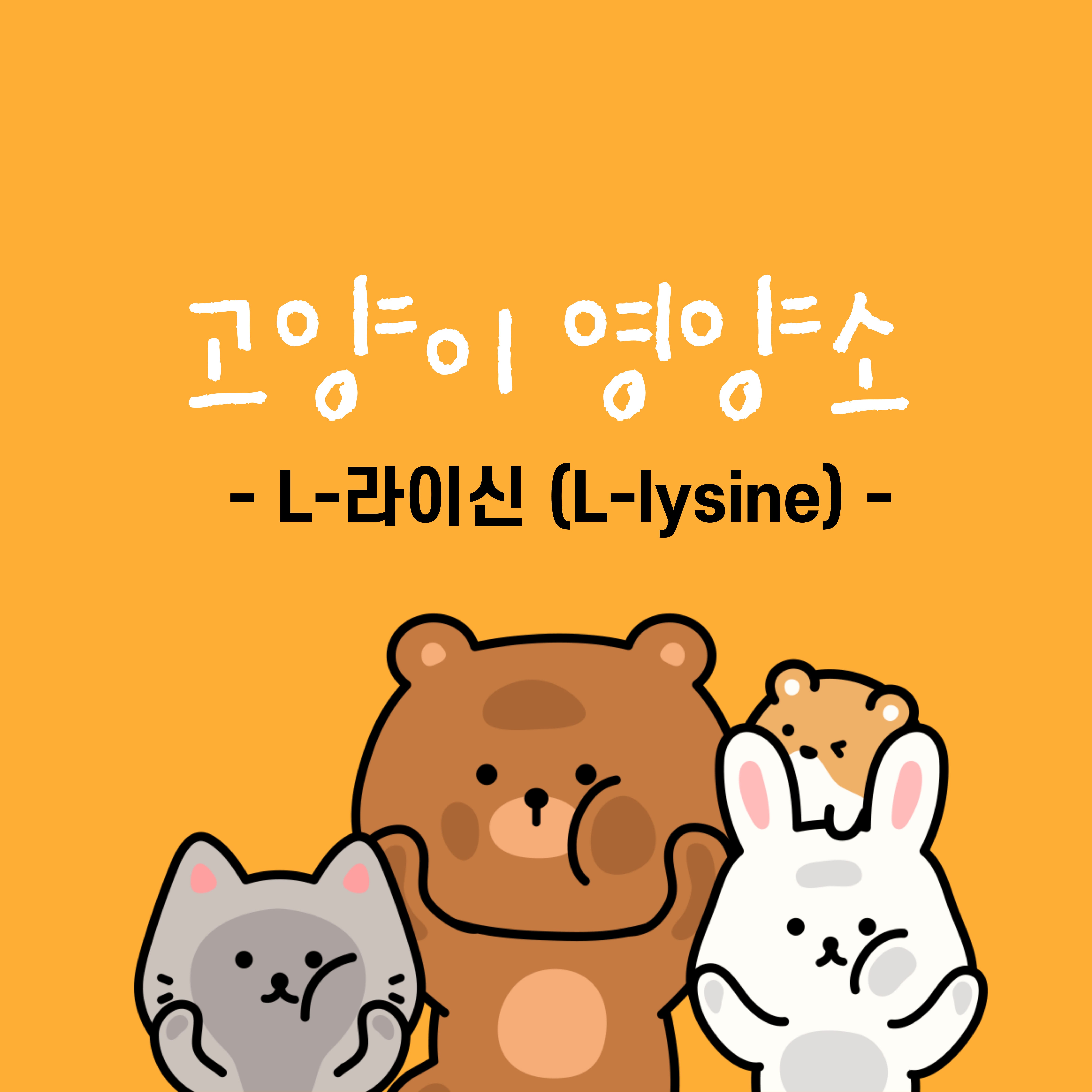 고양이 영양소 - L-라이신(L-lysine)