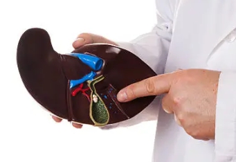 간에 좋은 음식 총정리(간에 좋은 채소&amp;#44; 과일&amp;#44; 견과류)