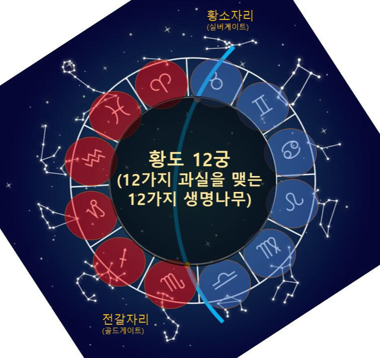 12가지 생명나무 황도 12궁
