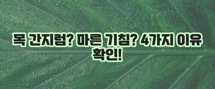 목 간지러움 원인과 마른 기침 이유 4가지 확실히 알아보고 치료하자!