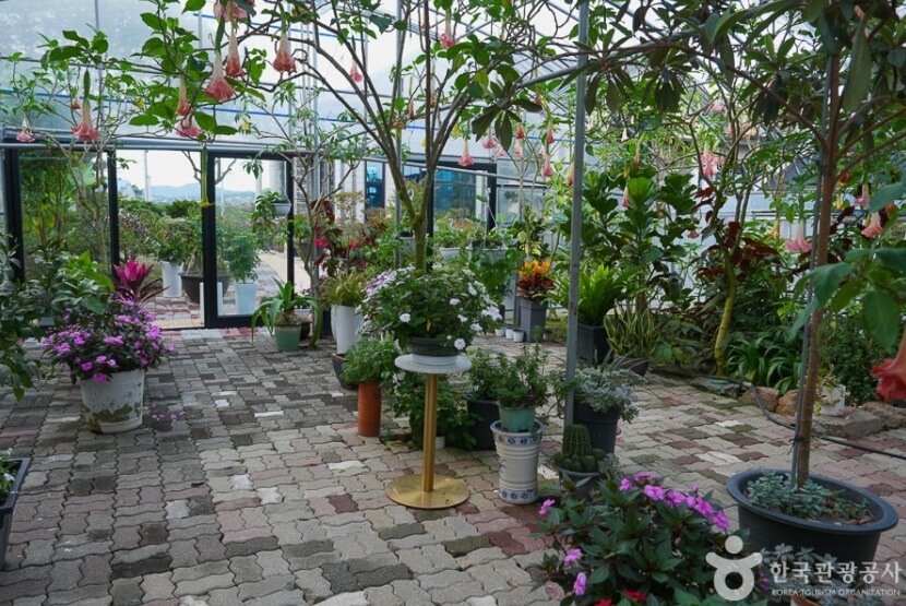 서산 가볼만한곳 베스트 10