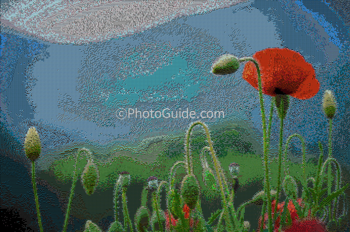 PhotoGuide.com NFT