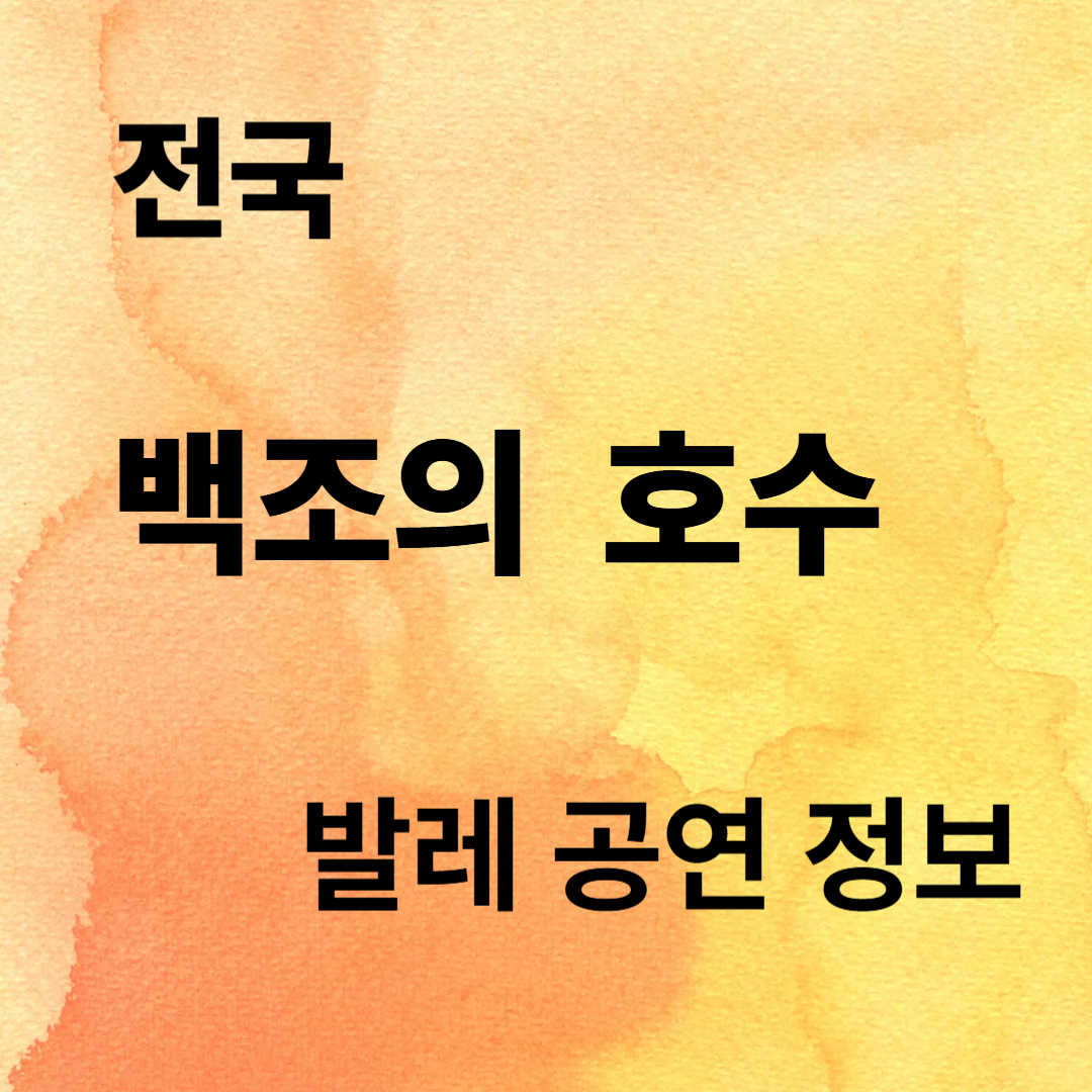 전국 백조의 호수 발레 공연 정보