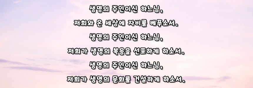 가톨릭 생명 운동 기도문