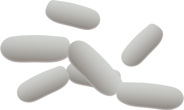 헬리코박터균 감염