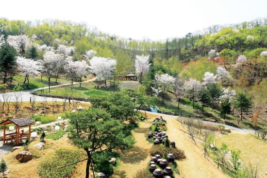 서울근교 갈만한곳 당일치기 여행 양평 - 두물머리, 구둔역, 두메향기, 들꽃수목원, 서후리숲, 세미원, 쉬자파크, 양떼목장, 용문산관광지, 중미산천문대, 오르다온