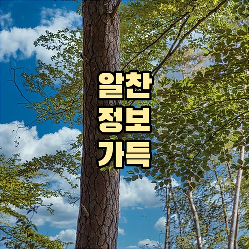 명절 자금난 BNK 추석특별대출 1%..