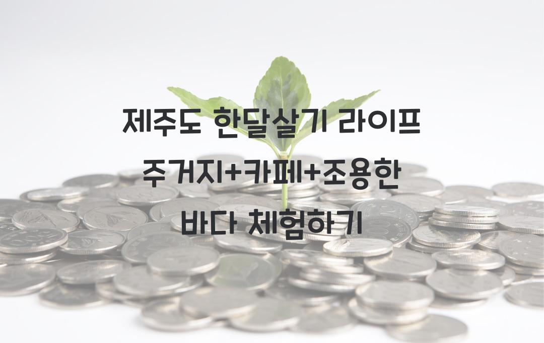 제주도 한달살기, 주거지+카페+조용한 바다까지