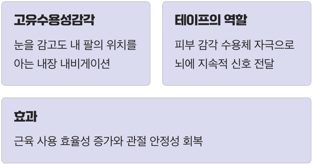 내 몸의 내비게이션을 다시 켜다