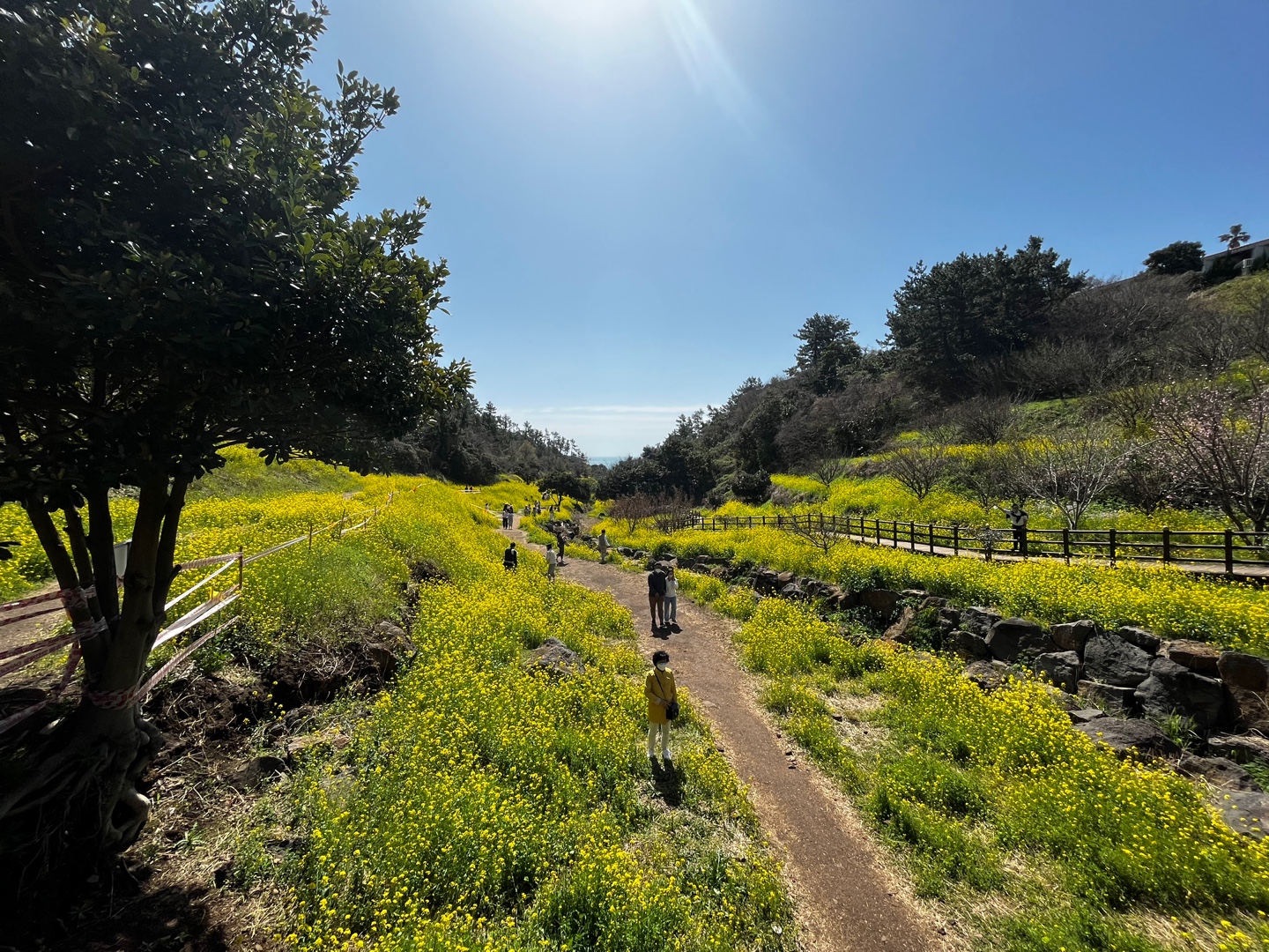 제주도엉덩물계곡