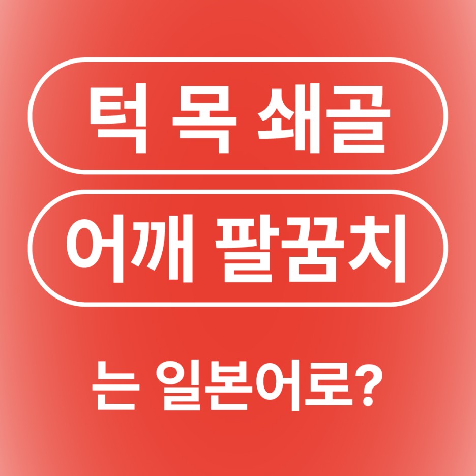 턱 목 쇄골 어깨 팔꿈치 일본어로