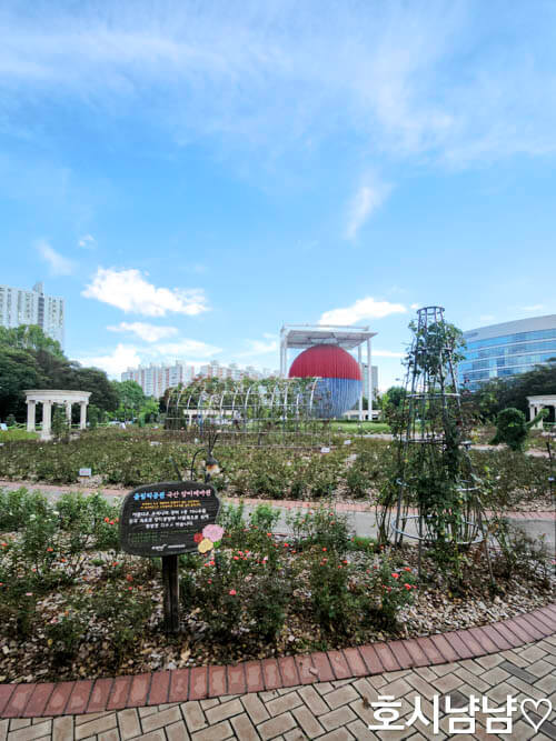 올림픽공원 산책길 장미원