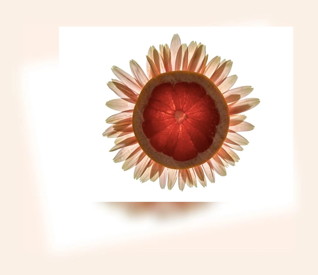 한방 다이어트_3_subsection