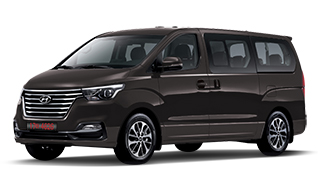 탠 브라운(색상코드 : TN9) 스타렉스 색상코드 - 탠 브라운(색상코드 : TN9)