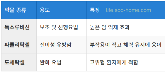 항암화학요법의 역할과 주요 적용 사례