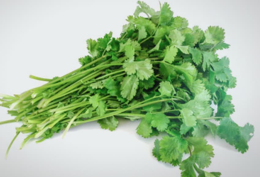 고수 vs 미나리: 향이 강하다는 공통점, 그 외엔 천지차이