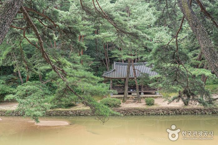 국립산림치유원