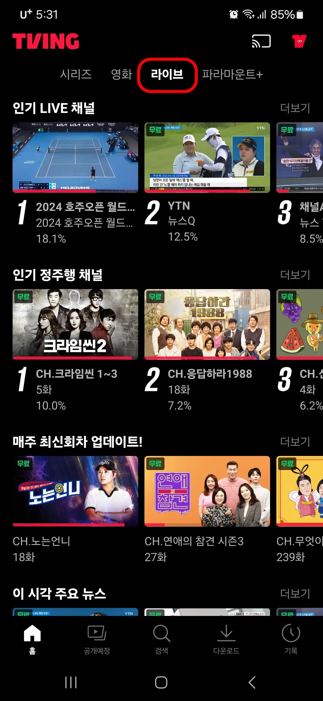 라이브
