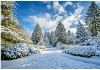 디지털 관광주민증 발급