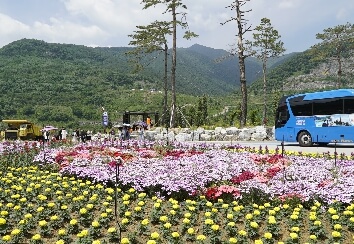 무릉별유천지 라벤더축제