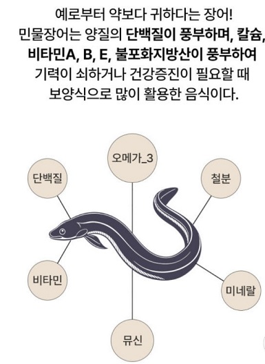 민물장어장점