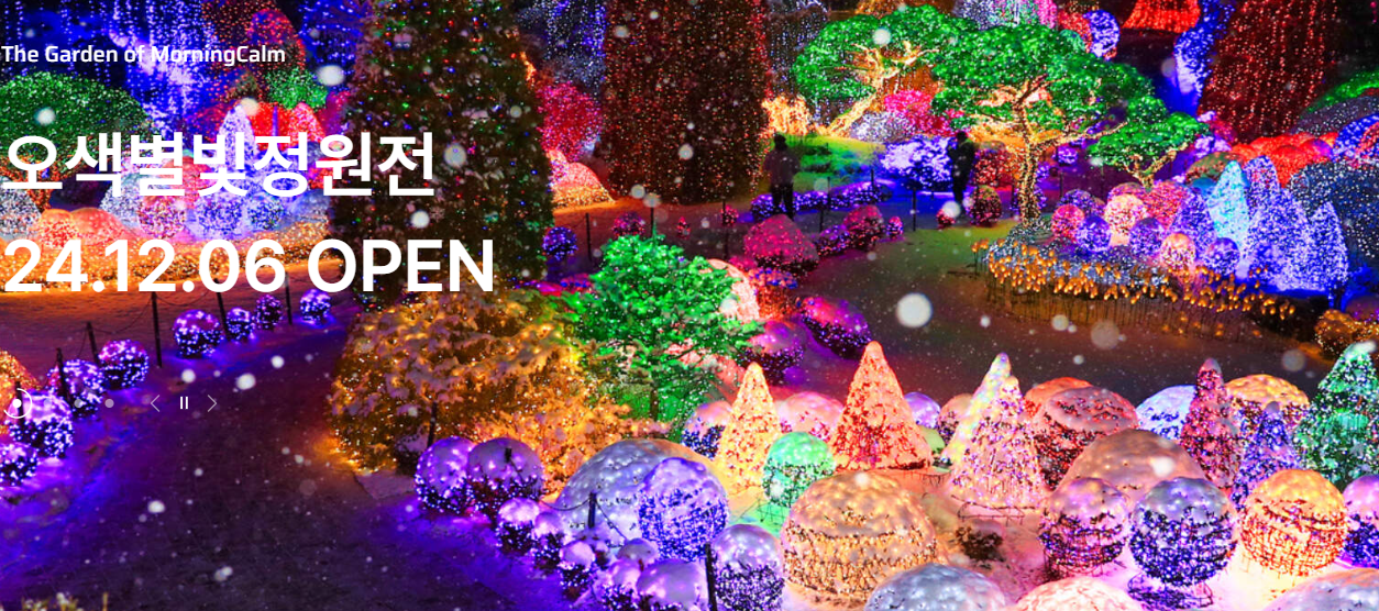 아침고요수목원 오색별빛정원전