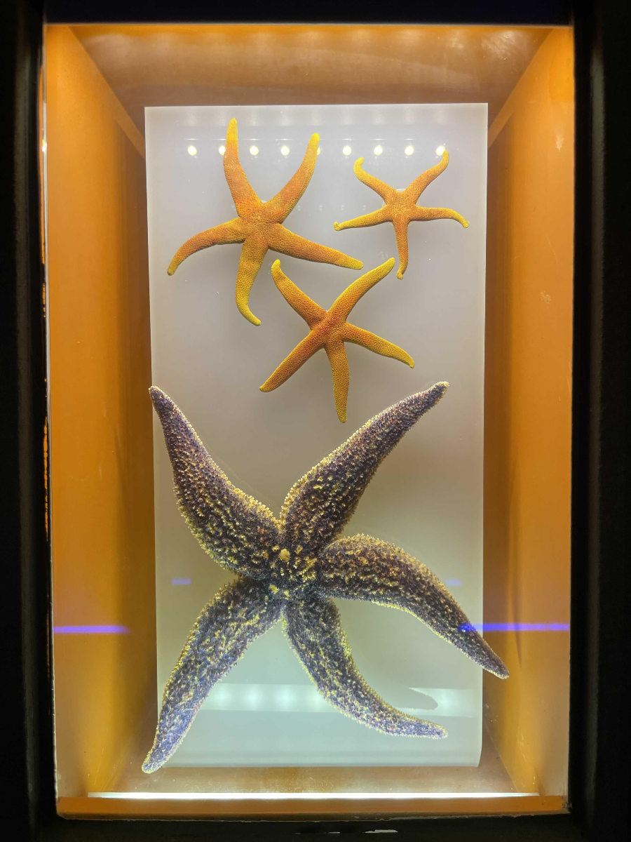 장항 국립해양생물자원관 씨큐리움