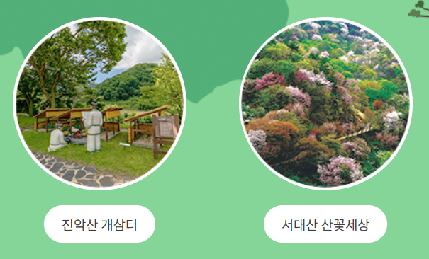 금산자연휴양림 2025 방문 가이드 &amp;#124; 예약&middot;체험&middot;주변 여행 코스