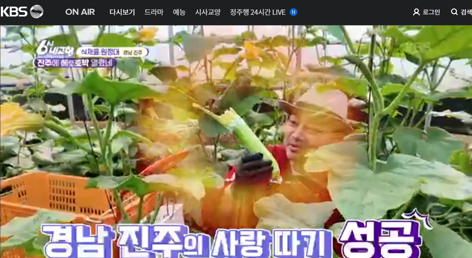 12월 29일 방송된 [ 식재료 원정대 &ndash;애호박가스&amp;#44; 꾸러미튀김가락국수&amp;#44; 애호박초밥케이크] 관련 레시피입니다.