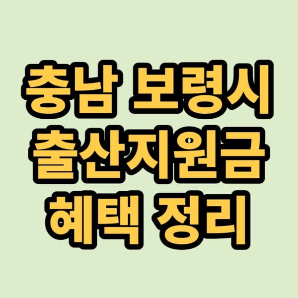충남-보령시-출산지원금-글자