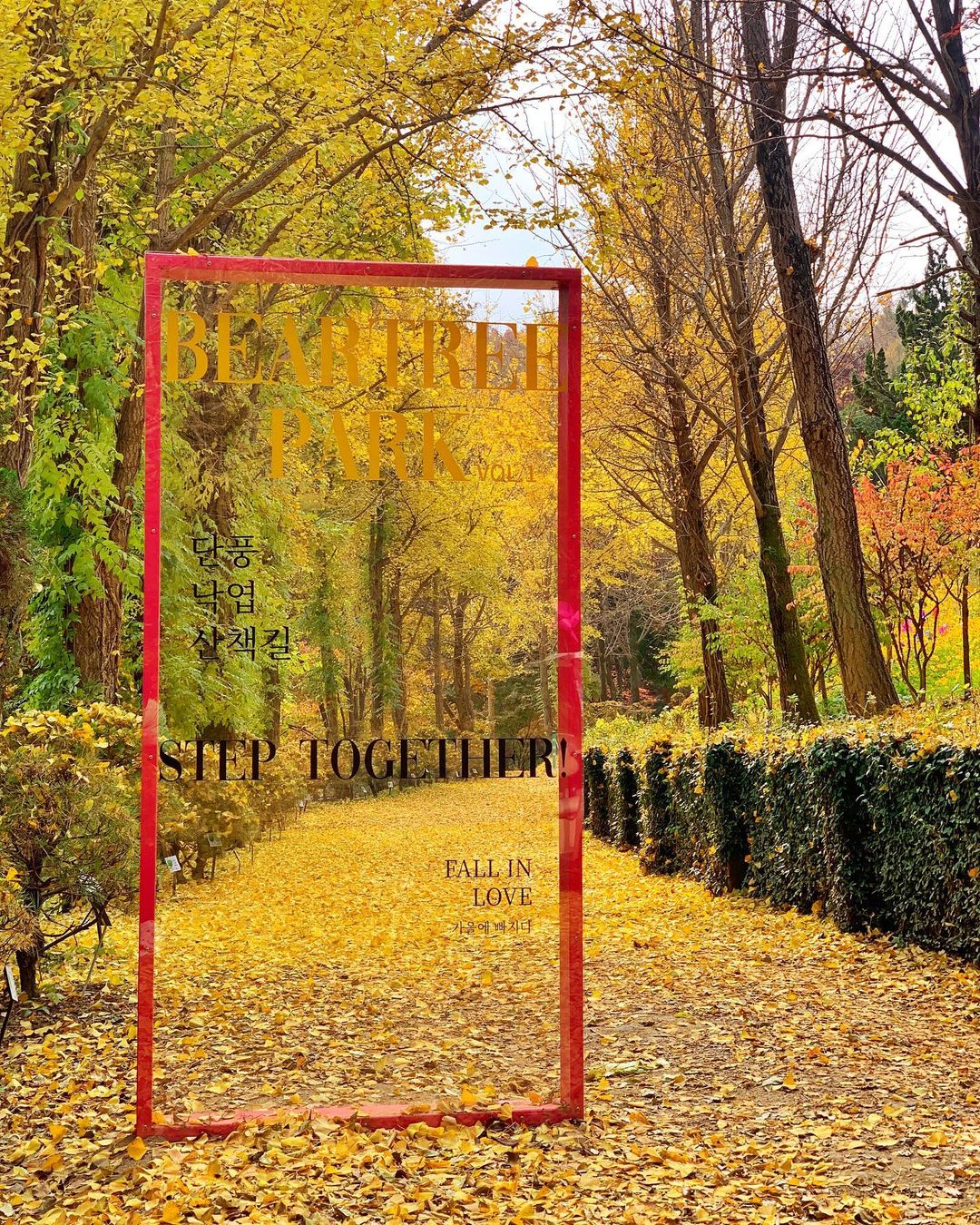 베어트리파크-가을-사진2