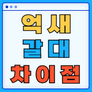 갈대 vs 억새