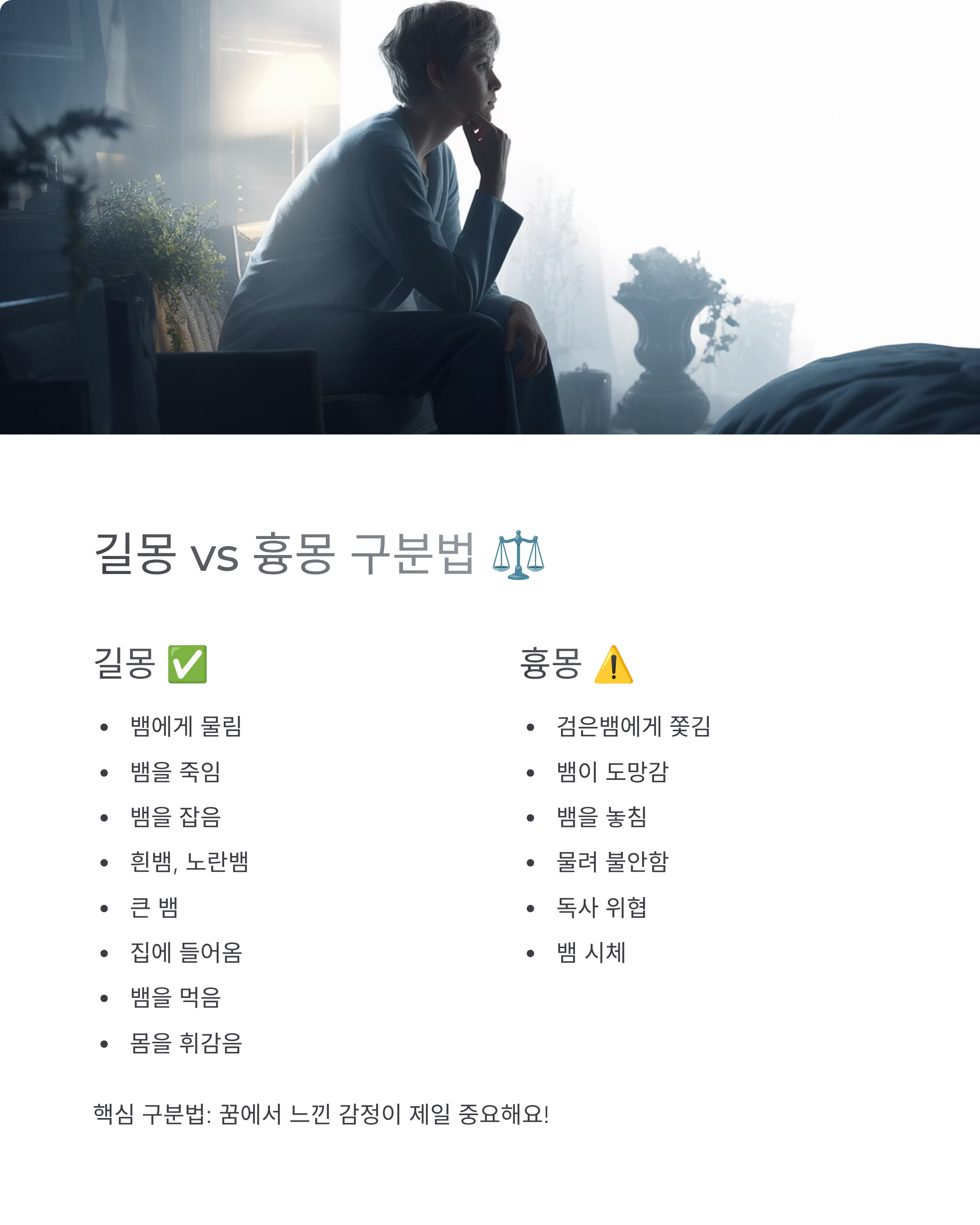 뱀꿈 해몽 총정리