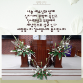 생명선언
