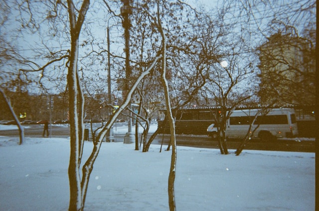 강원도 폭설 도로 통제 현황과 여행 환불 꿀팁