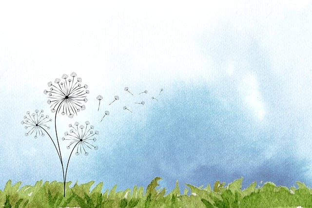 프리드라이프 상조