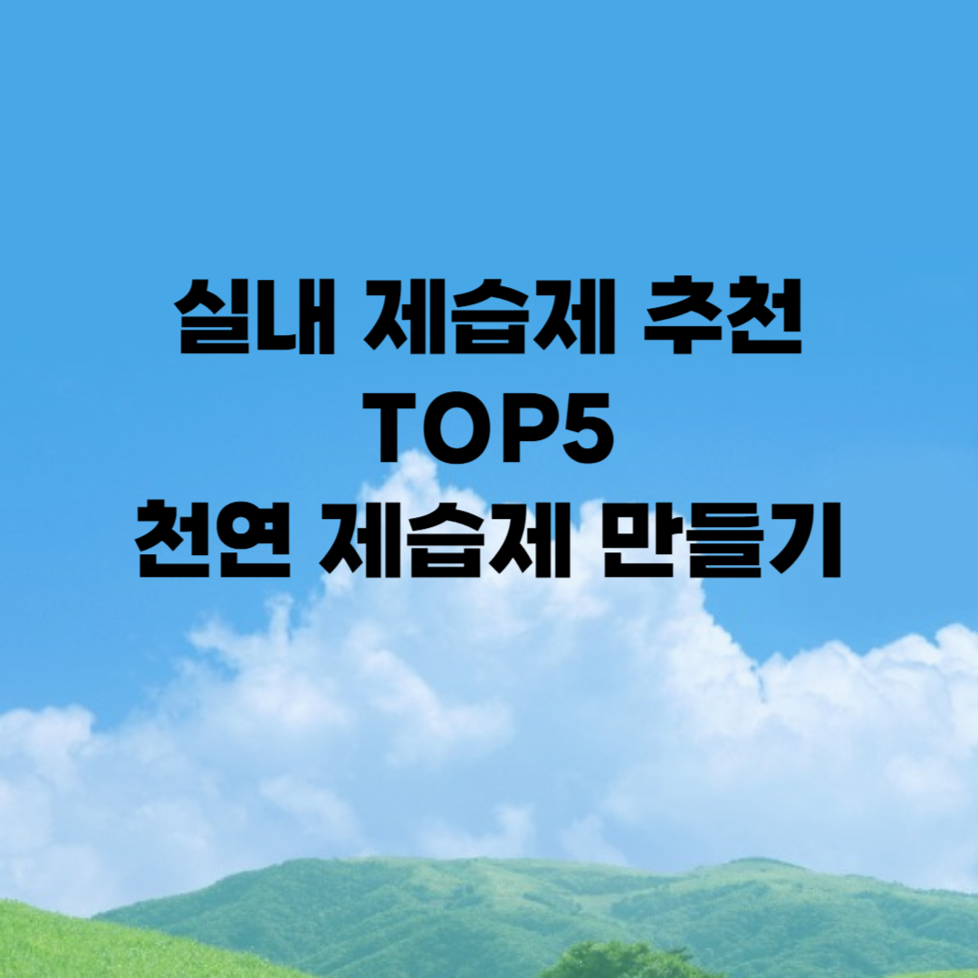 실내 제습제 추천 관련 사진
