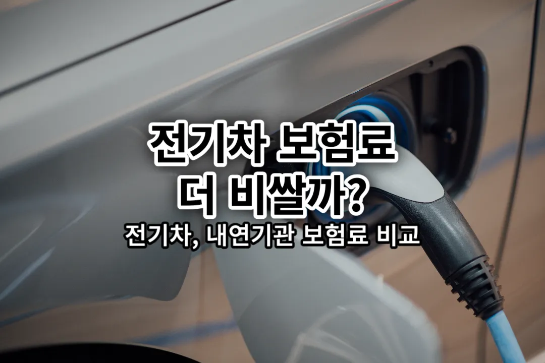 전기차 자동차보험료 비교