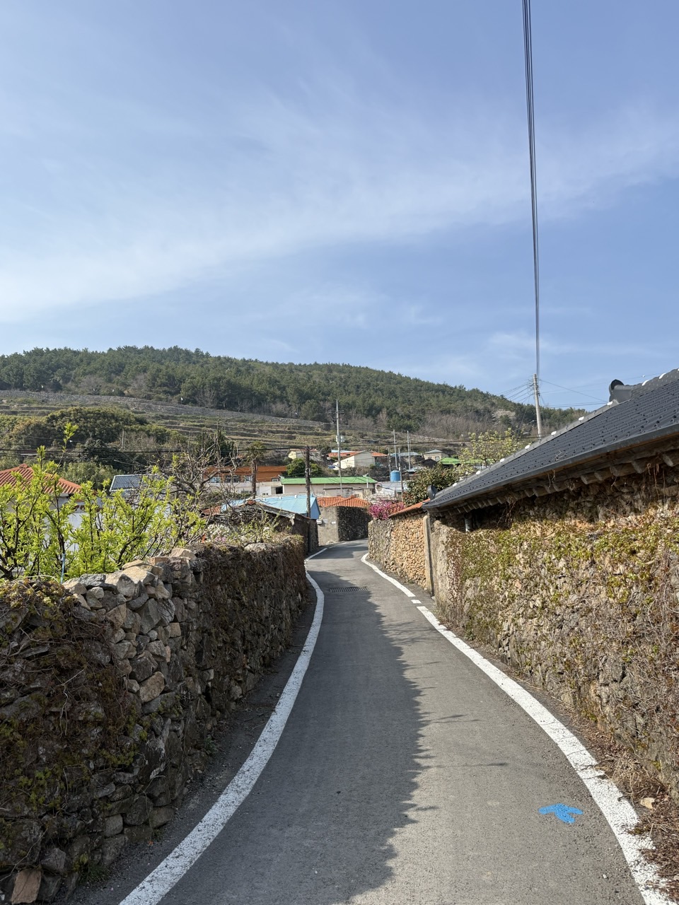 청산리도락리돌담길