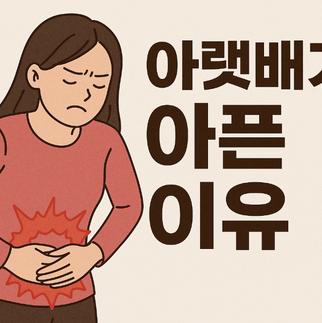 아랫배가 아픈이유 바로보기
