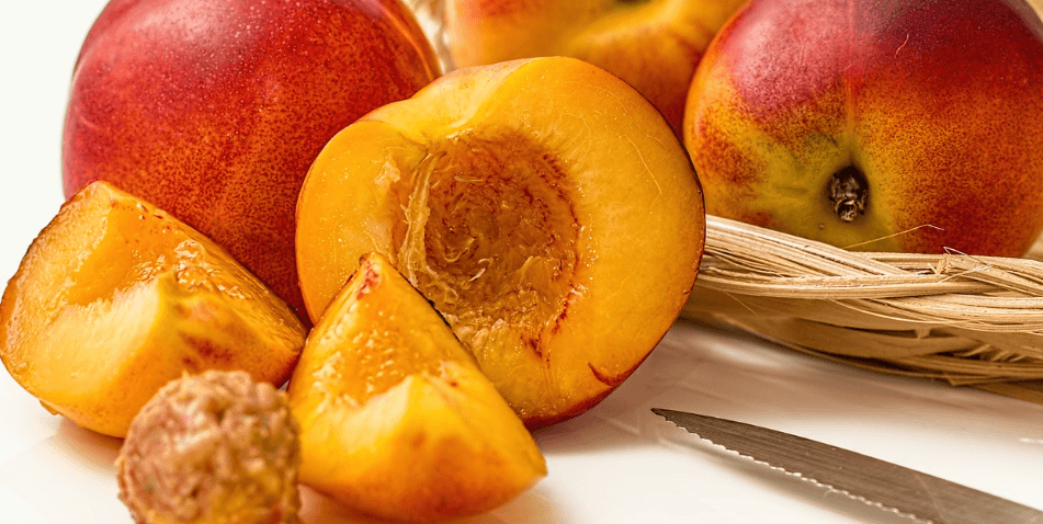 8월 제철 음식 사진 - 1