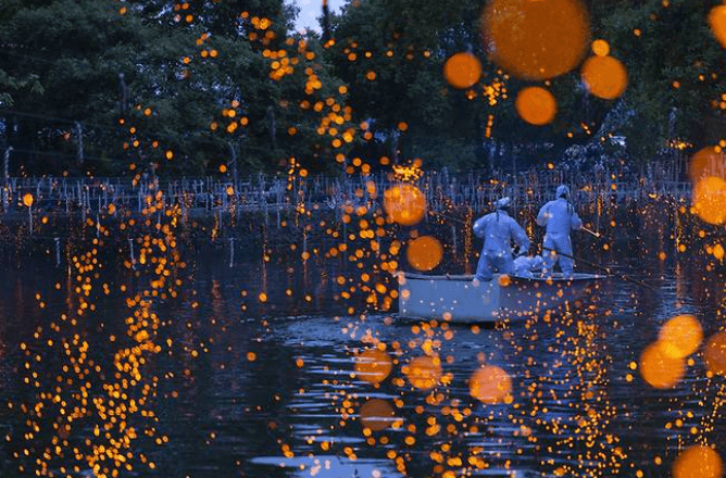 함안 낙화놀이 예약 주차장 (yes24 예약방법)