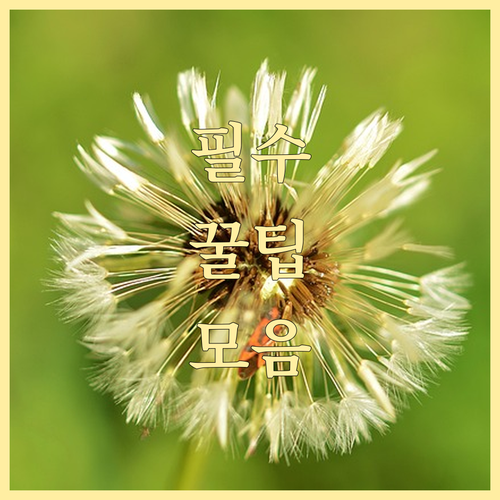 올리브영 혜택 극대화! 멤버십과 제휴..