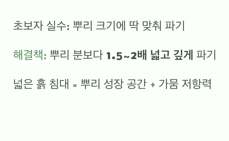 나무의 미래를 위한 구덩이 파기